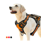 No-Pull Breathable Mesh Pet Harness Vest